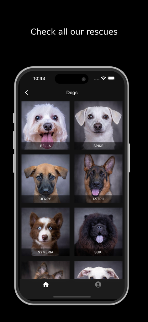 Sahara Kennel - A grid of rescue dogs with their names displayed on the Sahara Kennel mobile app
