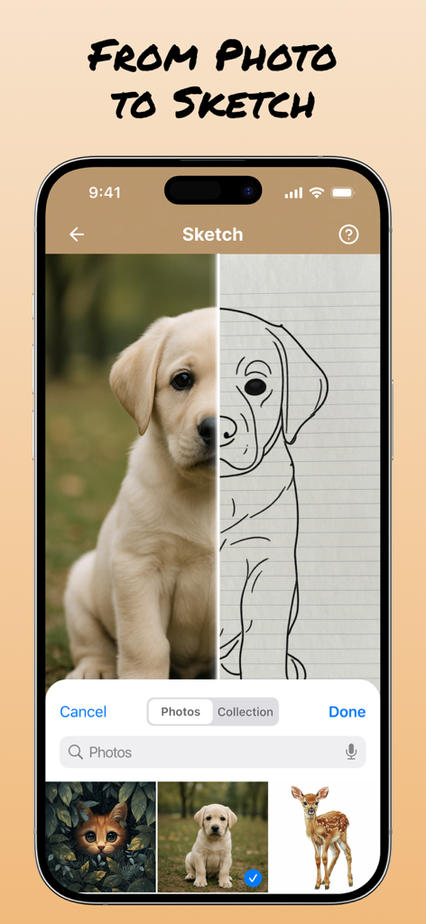 Une interface en écran partagé dans l'application AR Draw montrant une photo de chiot réel à côté de son croquis au trait pour le traçage.