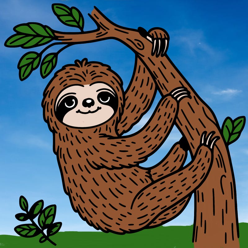 sloth hanging in a tree