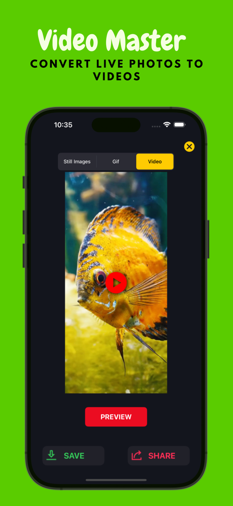 Interfaz de una aplicación móvil que muestra una foto en vivo de un pez amarillo siendo convertida en un vídeo con opciones de guardar y compartir.