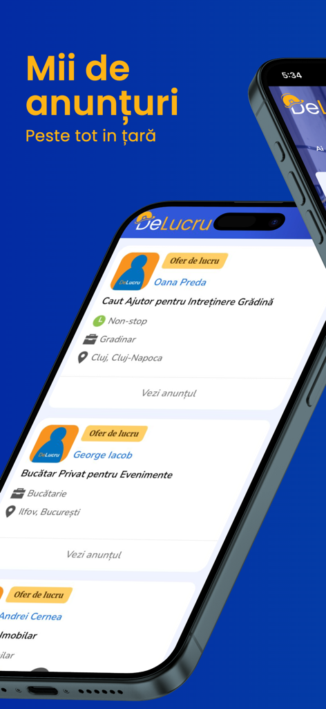 Interfaz de la app DeLucru mostrando una lista de anuncios de empleo para servicios como jardinería y catering privado