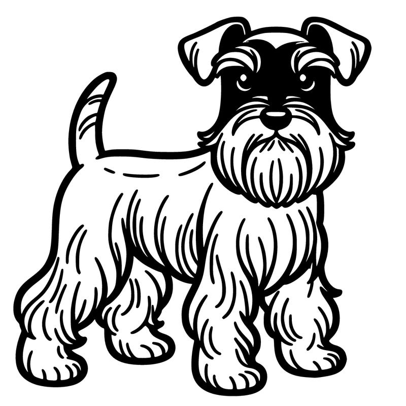 miniature schnauzer