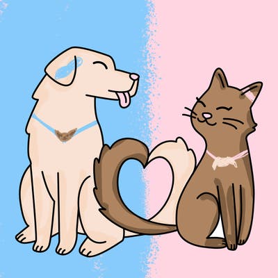 animals_22
