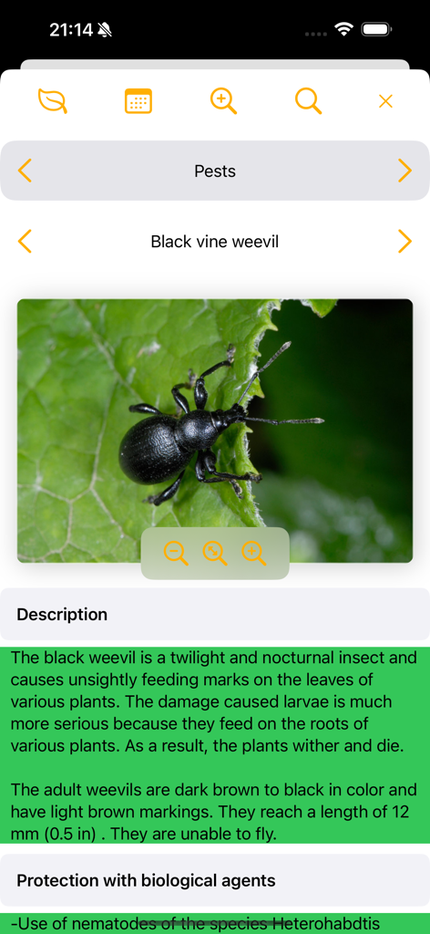 My garden journal - A screenshot of the My garden journal app showing a photo and description of a black vine weevil with biological protection tips.