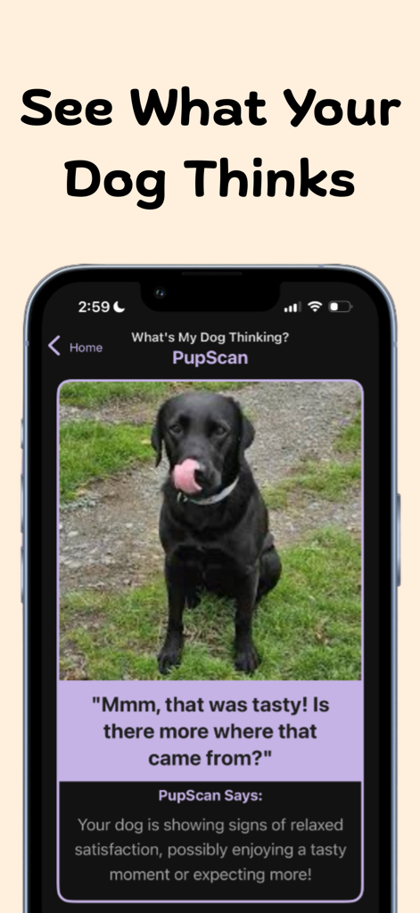 PupScan - Dog Translator - PupScan app interface showing a black Labrador and an AI generated thought bubble