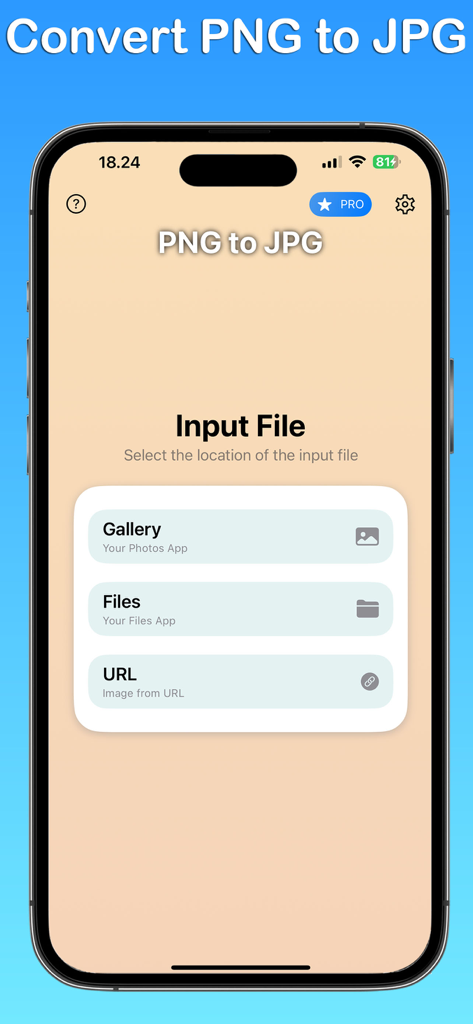 PNG to JPG Converter - Die Benutzeroberfläche des PNG zu JPG Konverters zeigt Eingabequellenoptionen, einschließlich Galerie-Dateien und URL