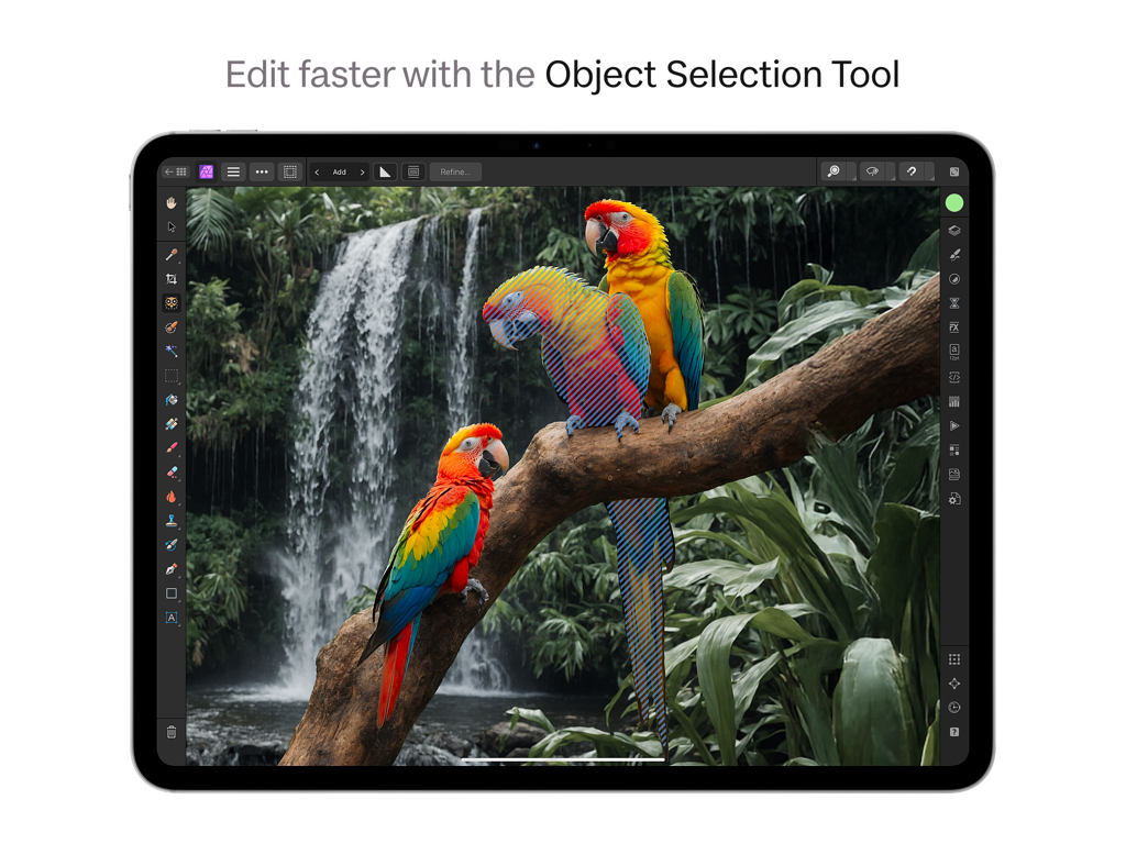 Affinity Photo 2 para iPad demostrando la herramienta de selección de objetos en una fotografía de loros coloridos