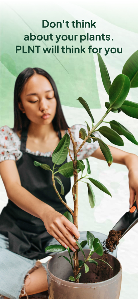 AI Plant Identifier - Leaf ID - Una mujer joven con un delantal negro trasplantando una planta de caucho con una palita de mano.