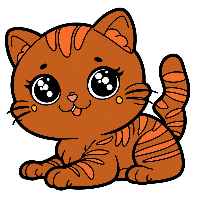 a beautiful cat picture