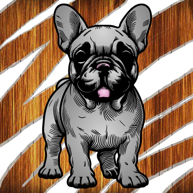 realistic french bull dog