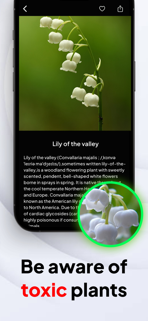 AI Plant ID - Identifier - AI Plant ID app interface showing Lily of the valley identification and a warning about toxic plants