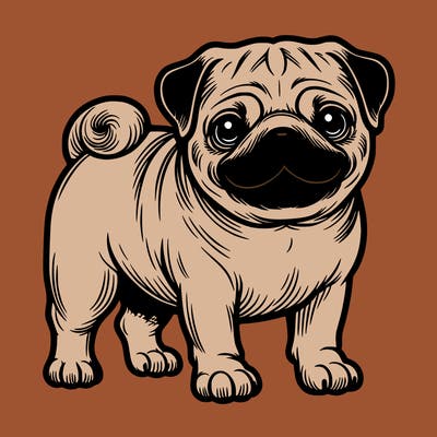 pug