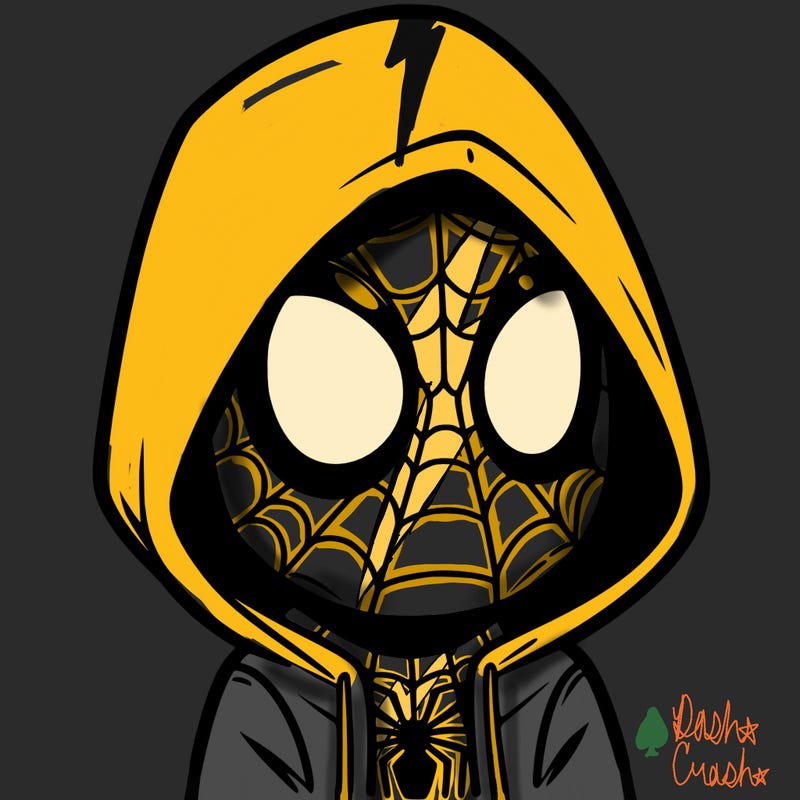 spider man with a hood