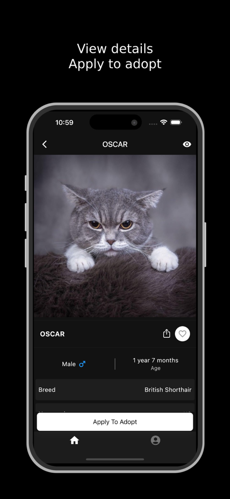 Sahara Kennel - Mobile app screen showing a cat profile for Oscar with an apply to adopt button