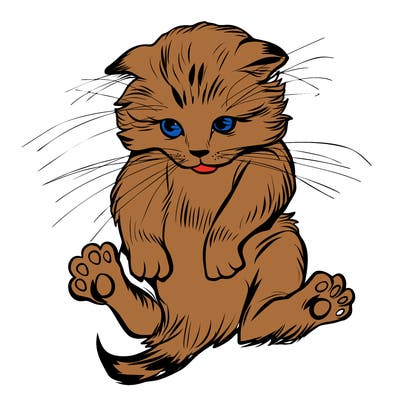 animals_20
