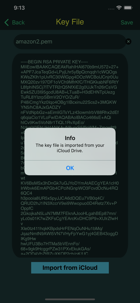 Interface of iTerminal Pro showing a successful SSH private key import from iCloud Drive.