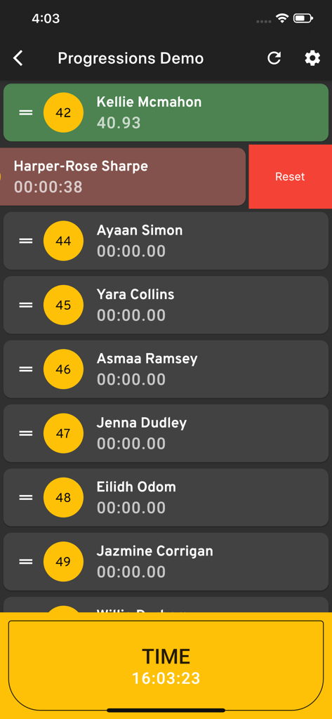 RaceGorilla Pro - Écran RaceGorilla Pro montrant les noms des athlètes, les dossards et le chronométrage de la course.
