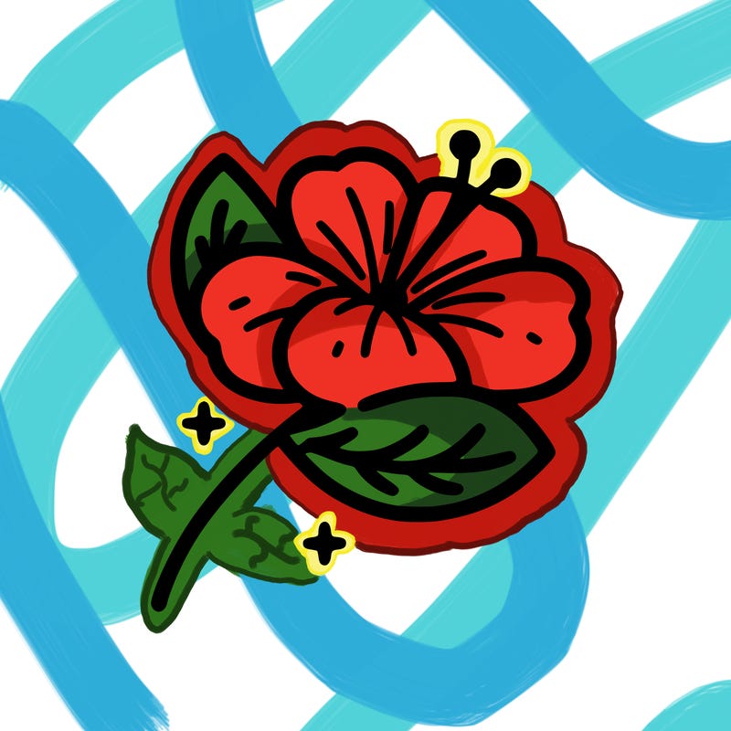 aesthethic 🌺
