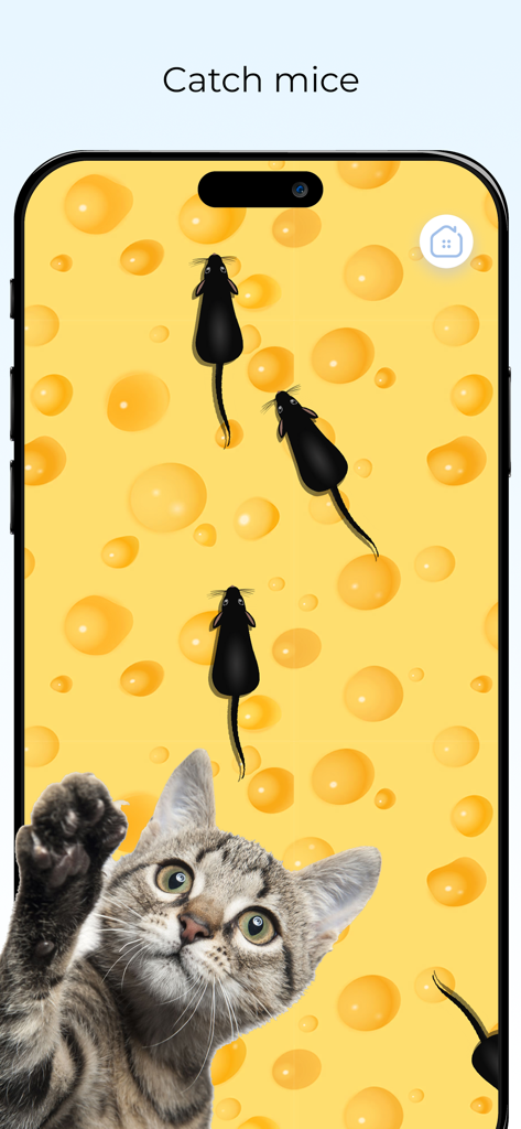 Un chat tigré regardant des souris numériques sur un écran de téléphone à motif de fromage