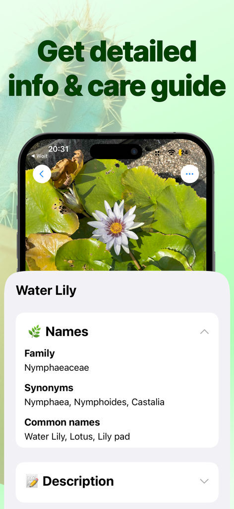 Plant Identifier & Scanner + - Plant Identifier app screen showing detailed scientific and common names for a Water Lily.