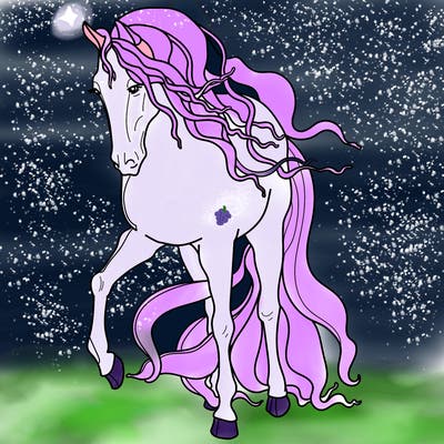 animals_11
