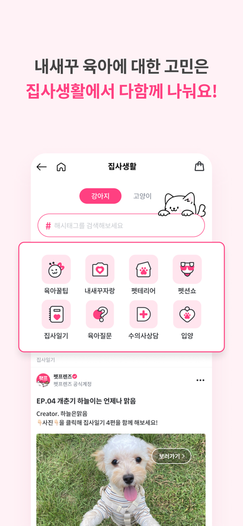 The community section of the Pet Friends app featuring icons for pet care tips, vet advice, and a social feed with pet photos.