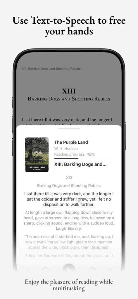 Interface of Koodo Reader app showing the text to speech feature for multitasking.