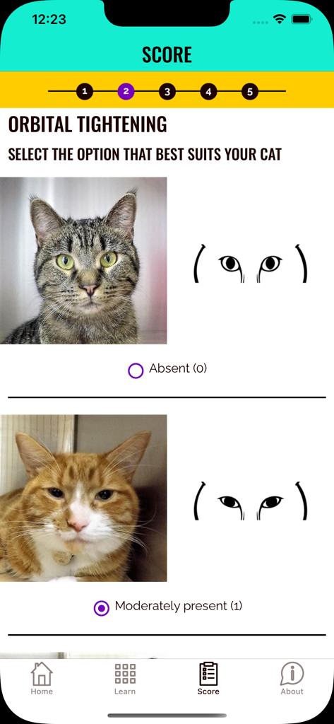Feline Grimace Scale - Mobile app interface showing cat orbital tightening pain assessment with comparison photos