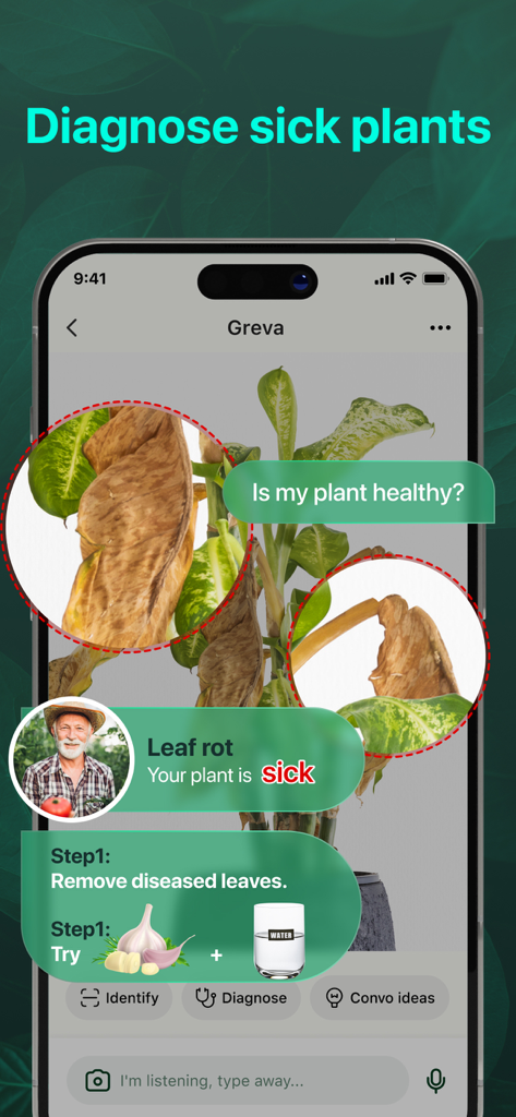 Interface de l'application PlantAI montrant un diagnostic pour une plante malade avec pourriture des feuilles et étapes de traitement