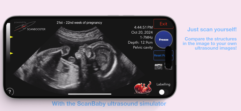 A smartphone interface displaying the ScanBaby ultrasound simulator featuring a fetus at 21 to 22 weeks of pregnancy