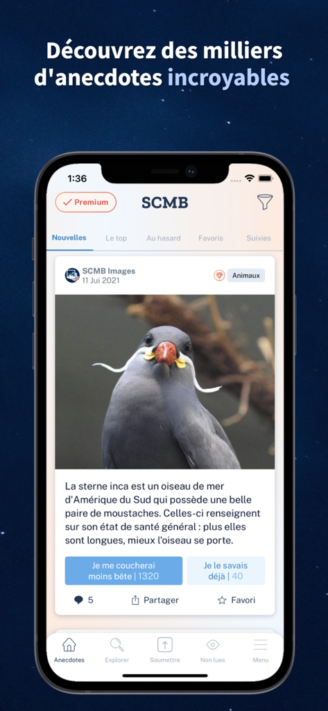 Se Coucher Moins Bête - A smartphone displaying a trivia card about a bird with a mustache in the Se Coucher Moins Bete app interface.