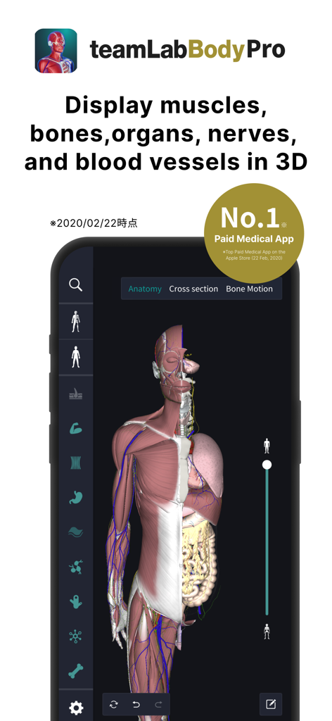 teamLab Body Pro 3d anatomy - 3D human anatomy model showing muscles and organs in the teamLab Body Pro app