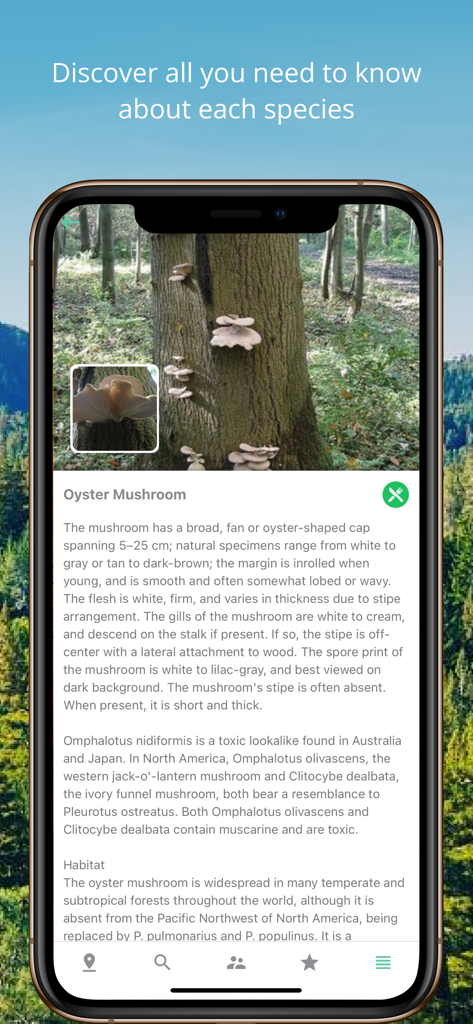 Écran de l'application Identificateur de Champignons affichant la description et les informations sur l'habitat d'un pleurote en huître