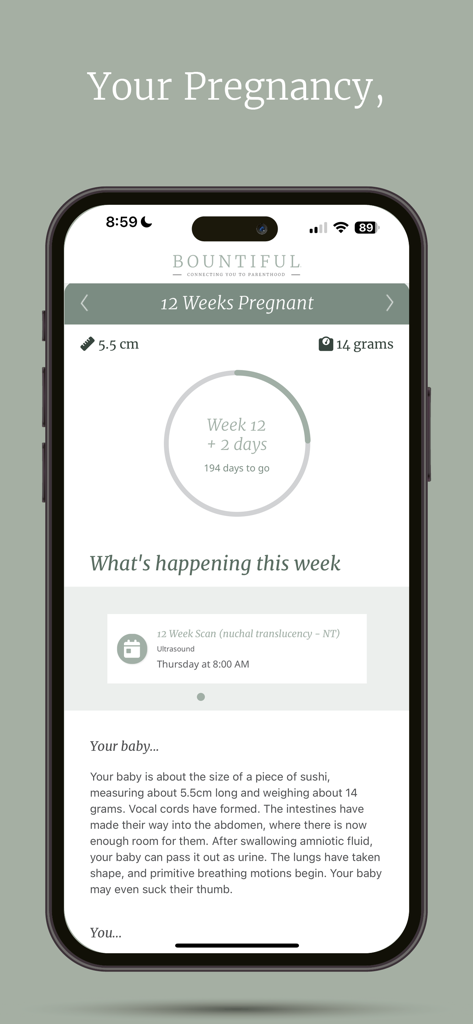 Bountiful Parenthood App - Interface de l'application Bountiful pour le suivi de grossesse affichant la progression de 12 semaines et les détails du développement du bébé