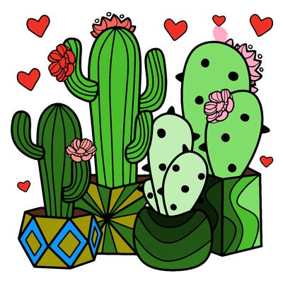 flowers_24_new