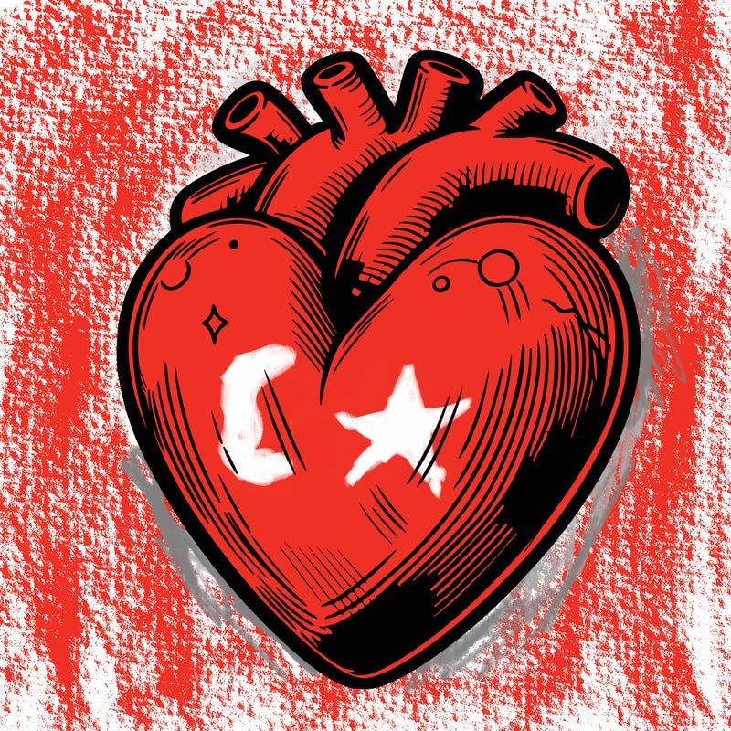realistic heart