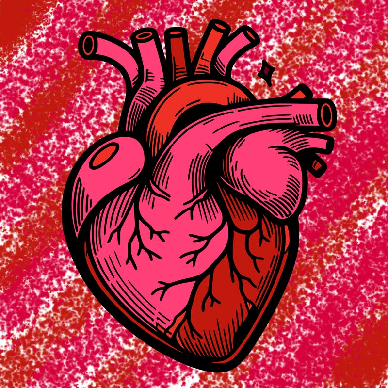 realisticl heart