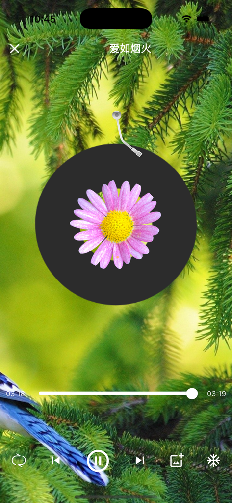 Interfaz del reproductor de música de la aplicación Mandarin Songs con un fondo de temática natural y una flor rosa como disco de vinilo.