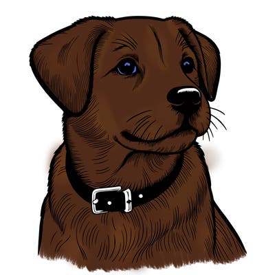 dog realistic