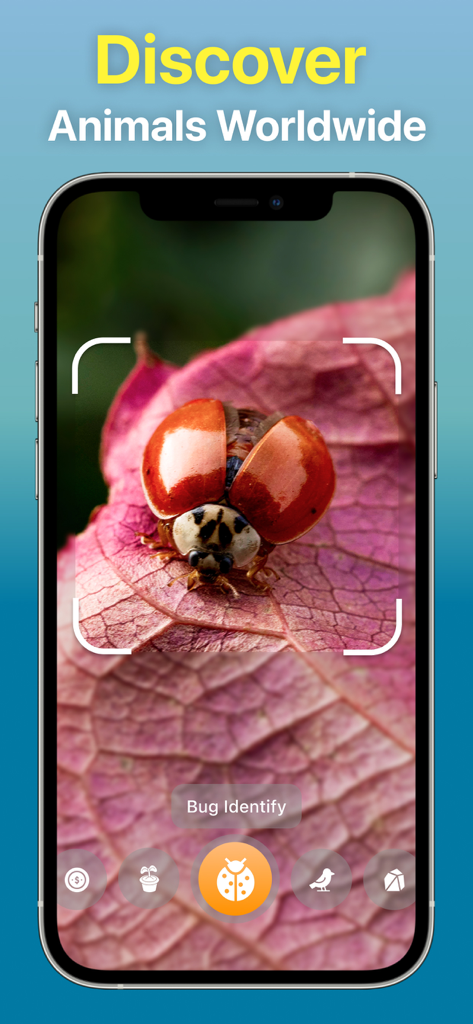 Identify Anything AI Scanner - Una pantalla de aplicación móvil mostrando la identificación IA de una mariquita sobre una hoja