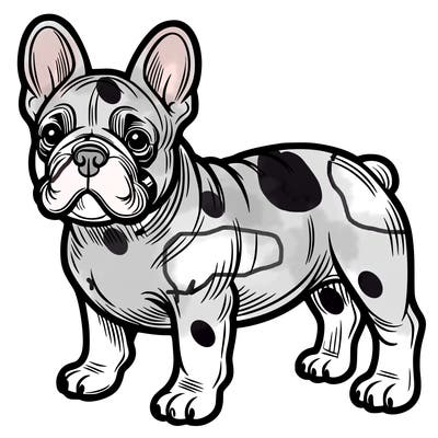 french bulldog