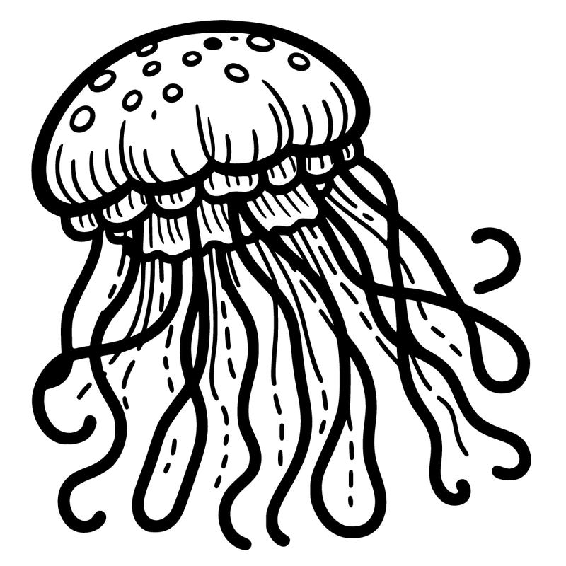 jellyfish