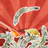 Jako Collection - App Icon