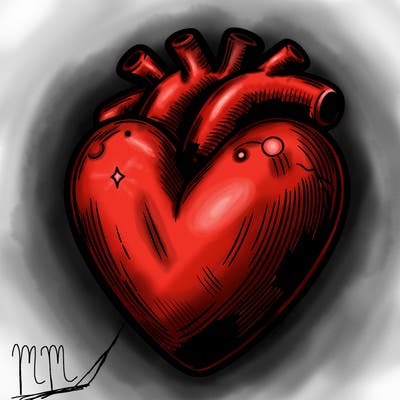 realistic heart