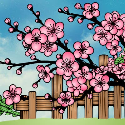 japan cherry blossom