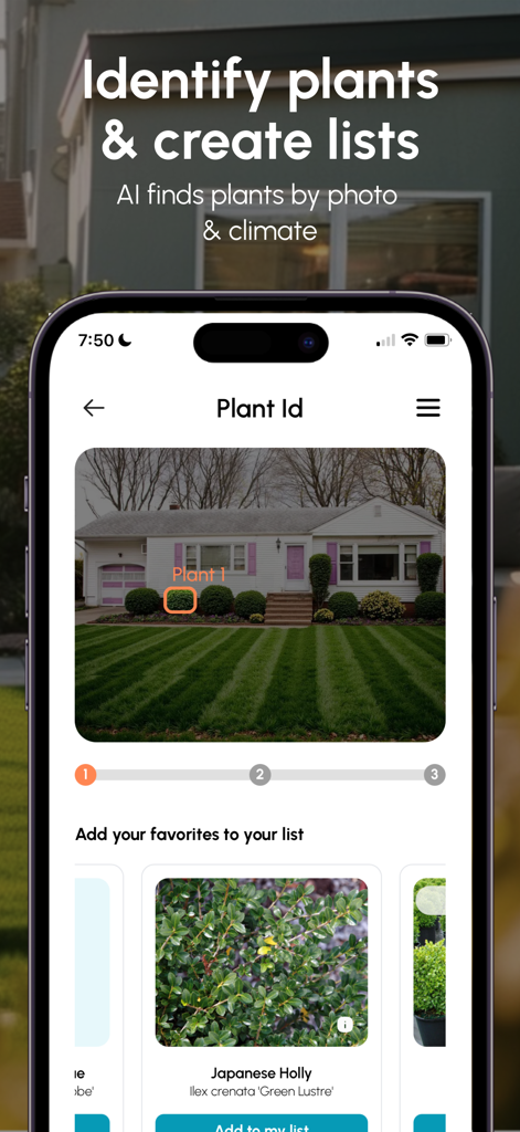 Neighborbrite Landscape Design - A smartphone showing the Neighborbrite app identifying a plant in a yard photo