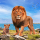 Lion Family Simulator Game
