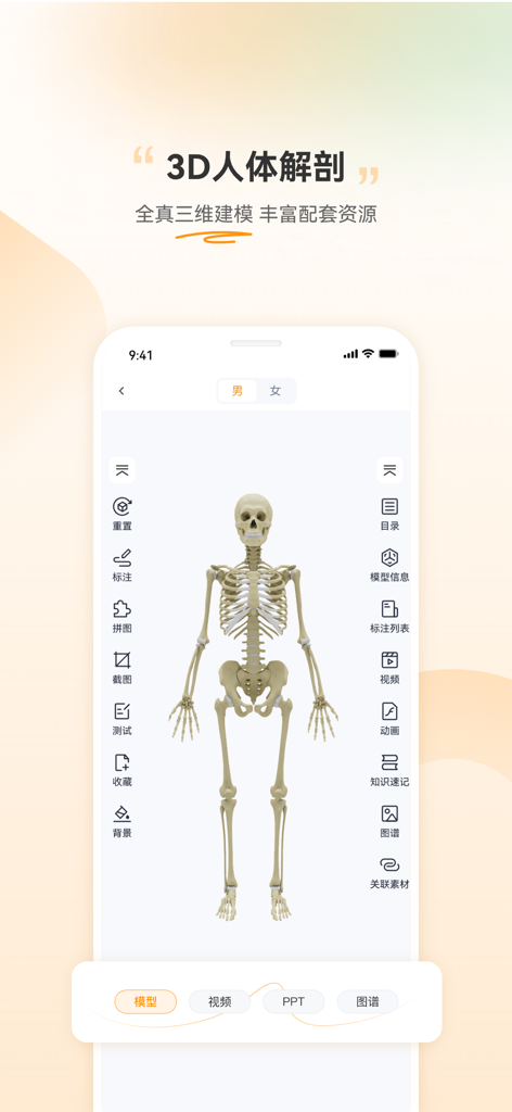 芝士医生-3D解剖听课刷题读片 - 3D human skeleton model for medical anatomy study in the Cheese Doctor app