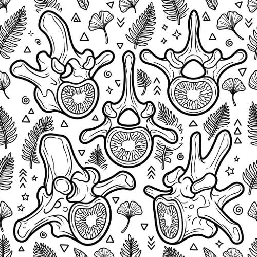 Brachiosaurus Vertebrae