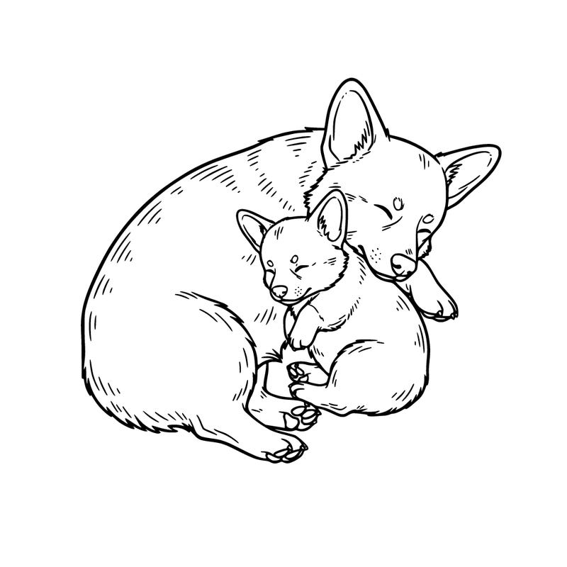 a cute puppy corgi snuggled with its mama